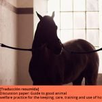 Buenas prácticas para la tenencia, cuidados, entrenamiento y uso de caballos. Parte 1